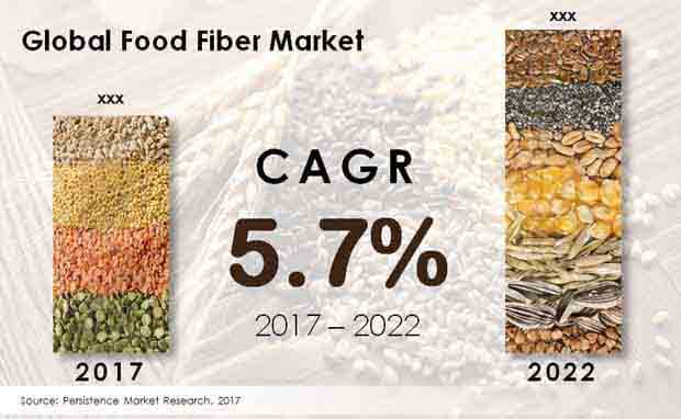 全球食用纖維市場