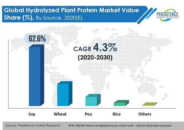 水解植物蛋白市場