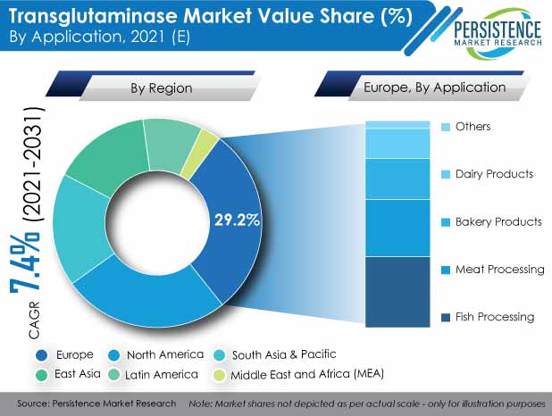 transglutaminase-market